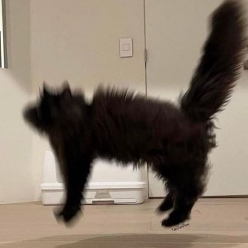 オオツボ