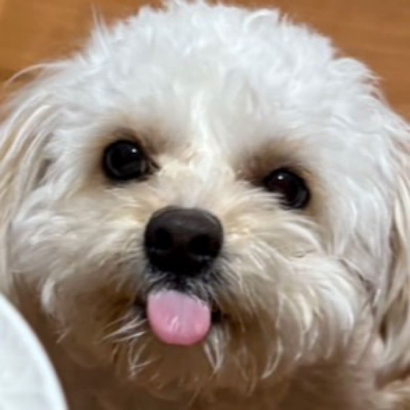 梅田