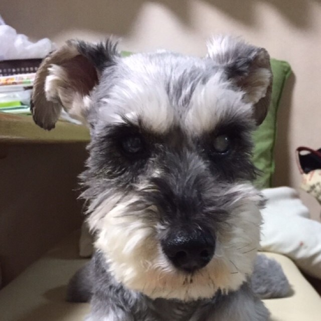 由香