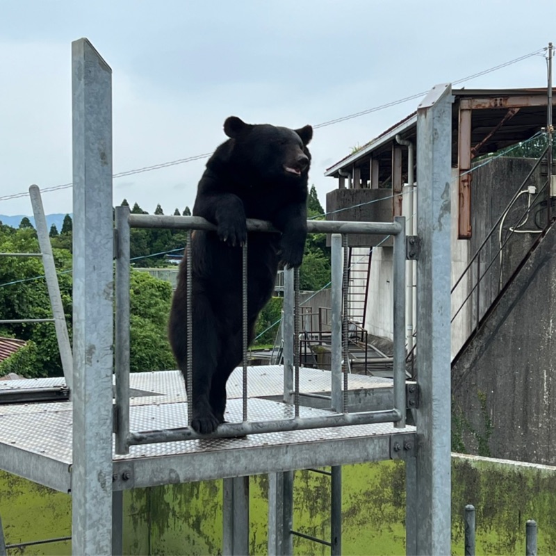 上村 竜哉