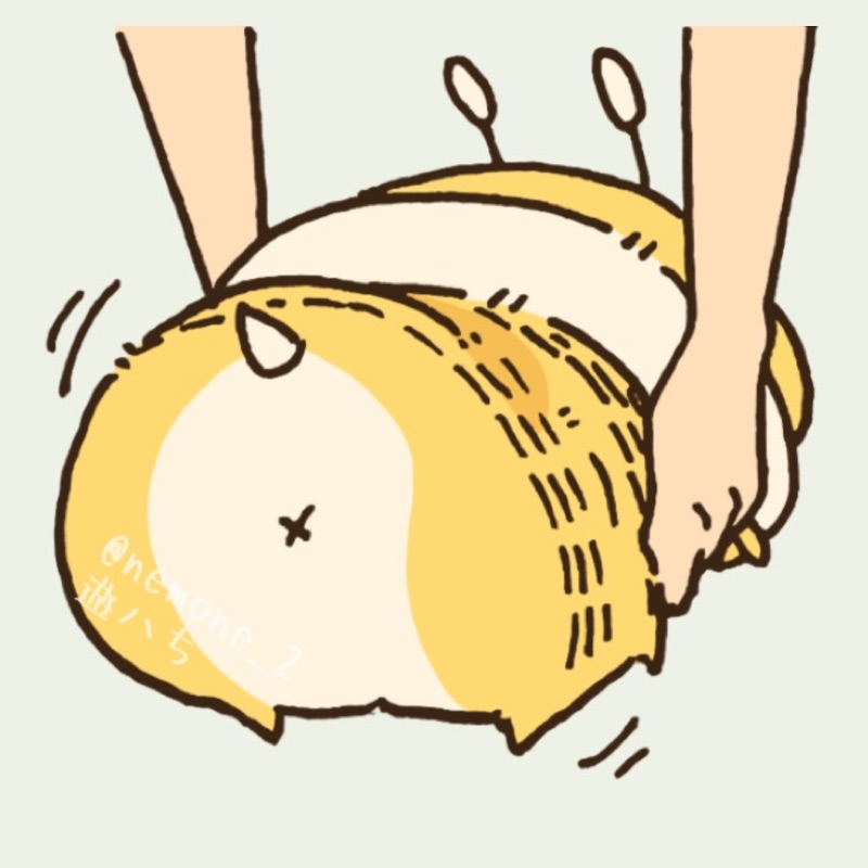 いとさん