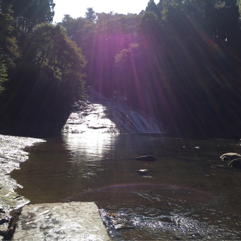 高橋　成輔