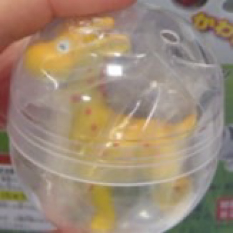 榊原　葵