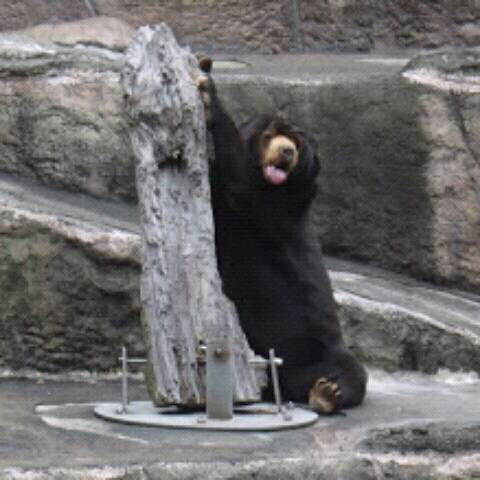きそ
