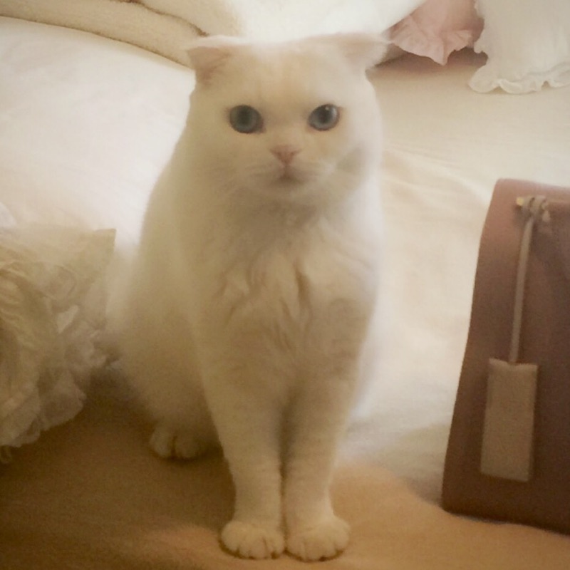 R KAORI