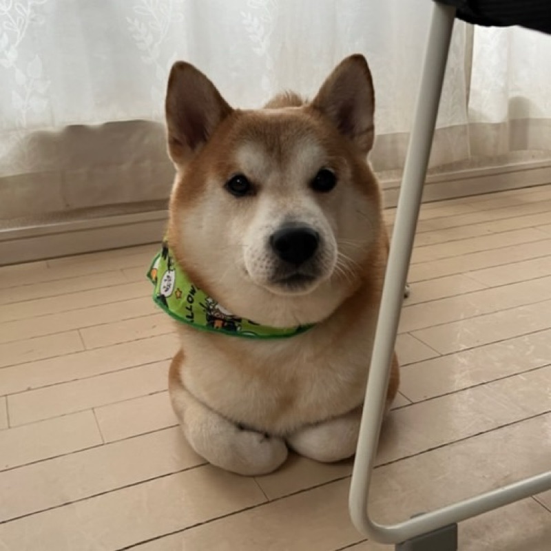 佐藤悠