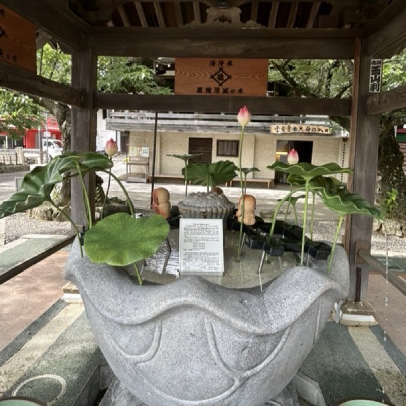 はっしー
