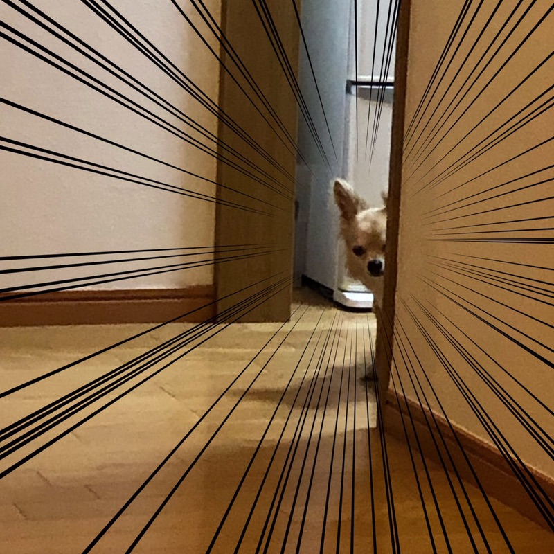 も