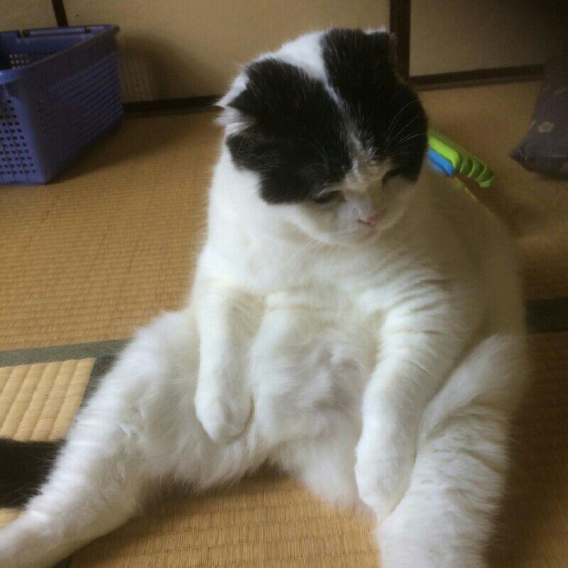 愛