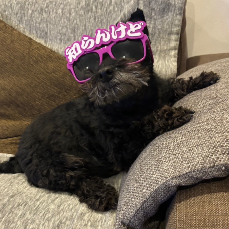 エンリケス　カイラマリ