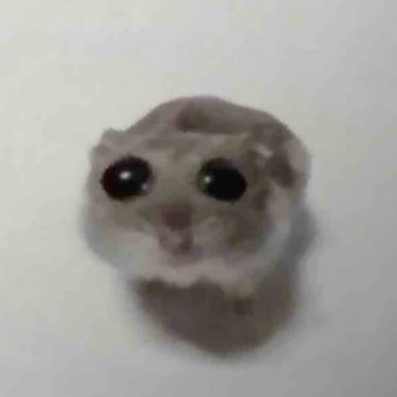 ハムスターのお尻