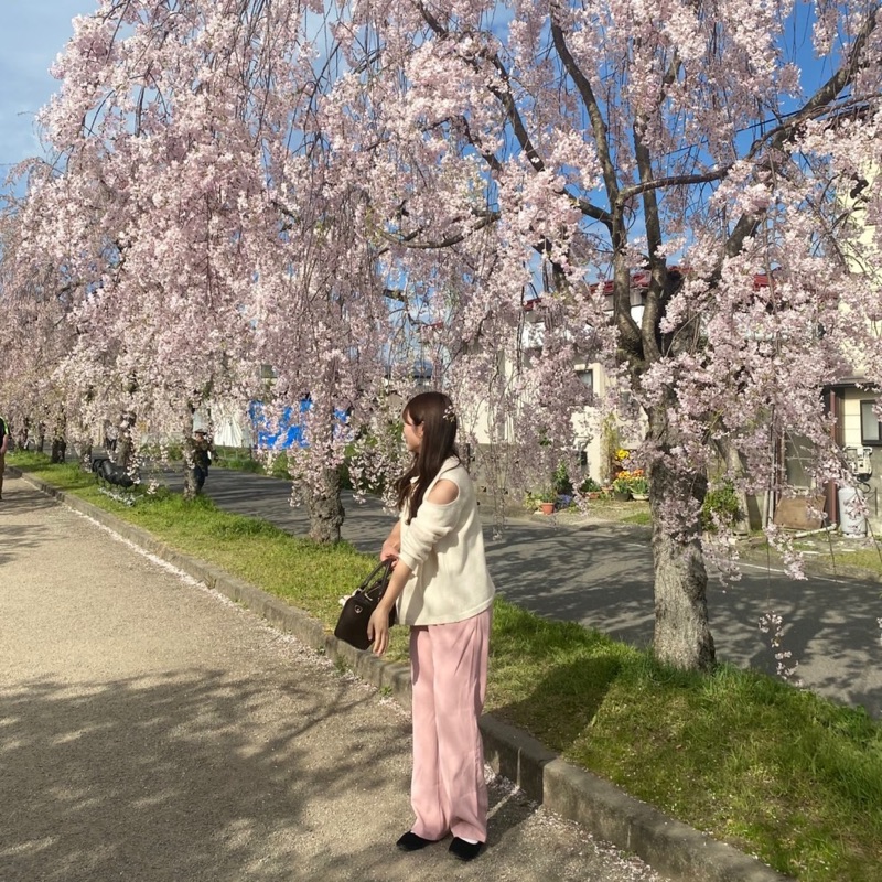はなみ