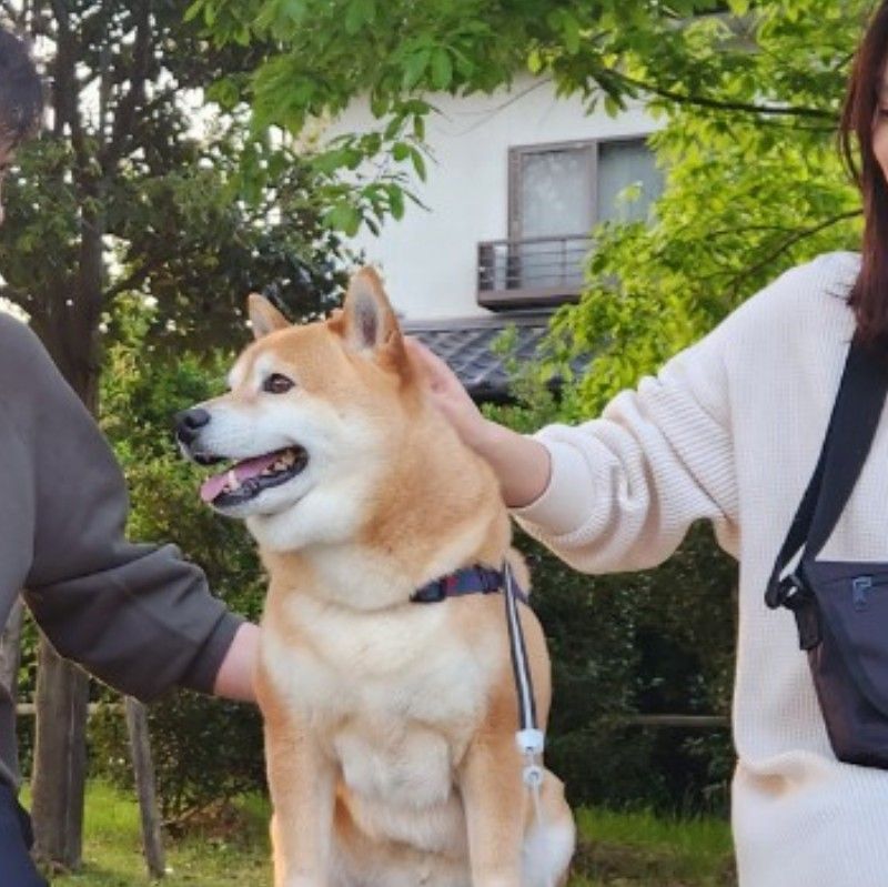 りさ