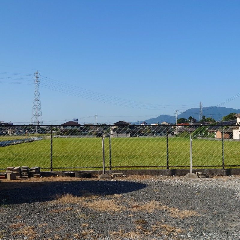 野中