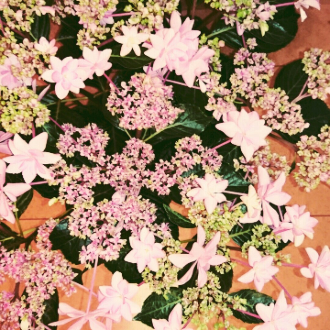 小林　悦子