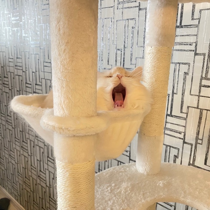 みさ