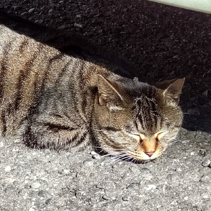 評判がいいと聞いたのですが...