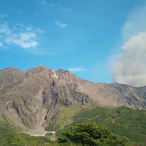 初眉毛サロンデビュー