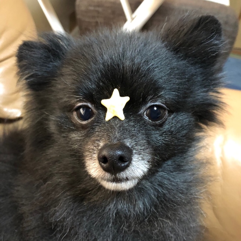 深谷絹子