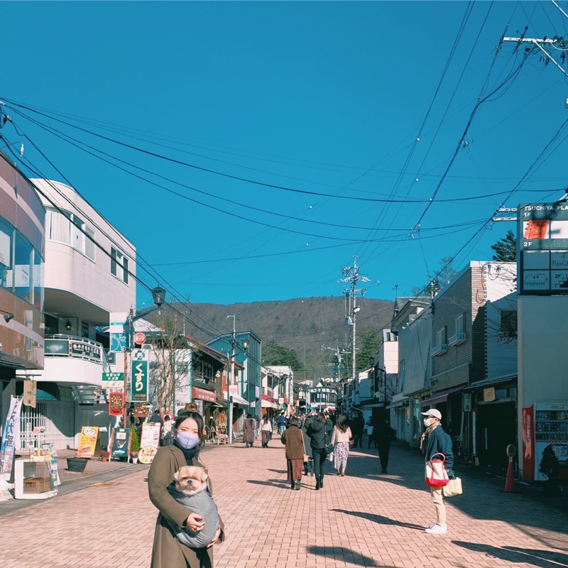 鶴