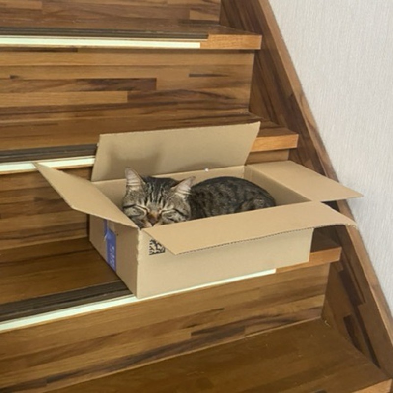 バザン　ヨシオ