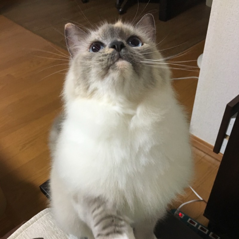 くれよん