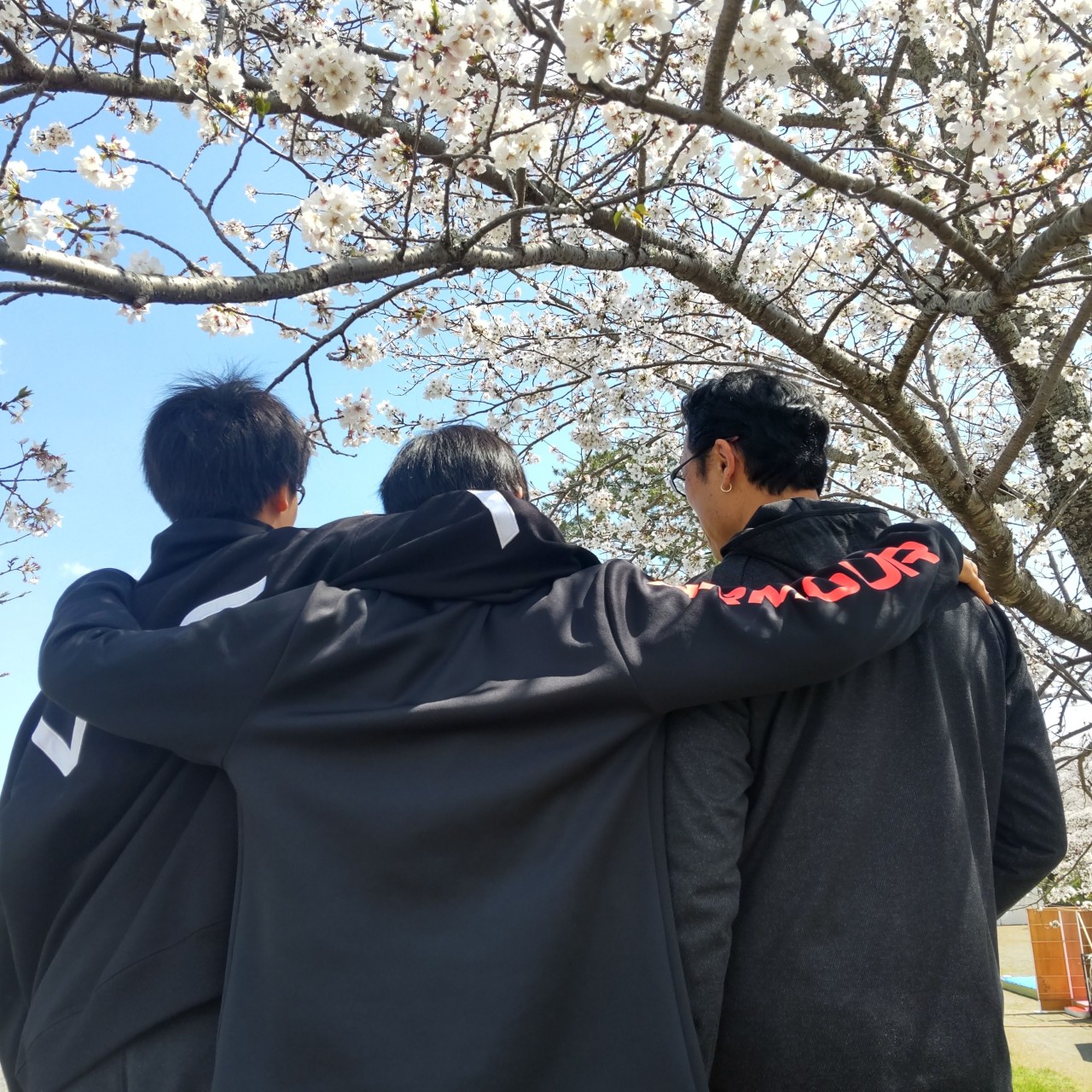 有ヶ谷　利佐子