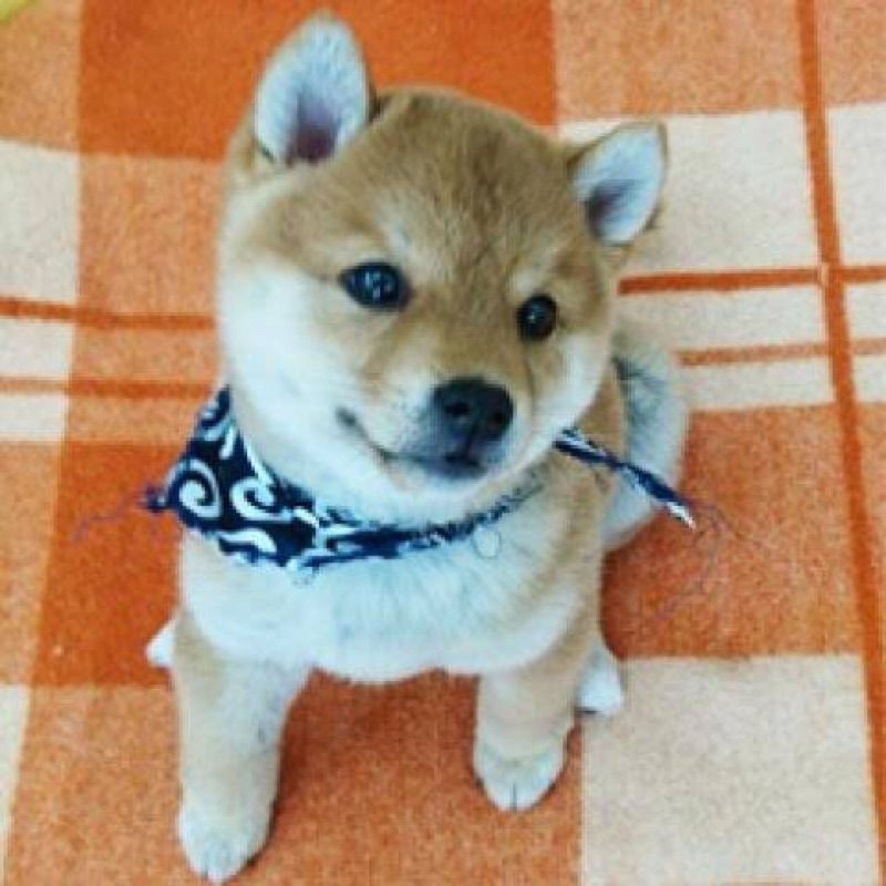 うみ