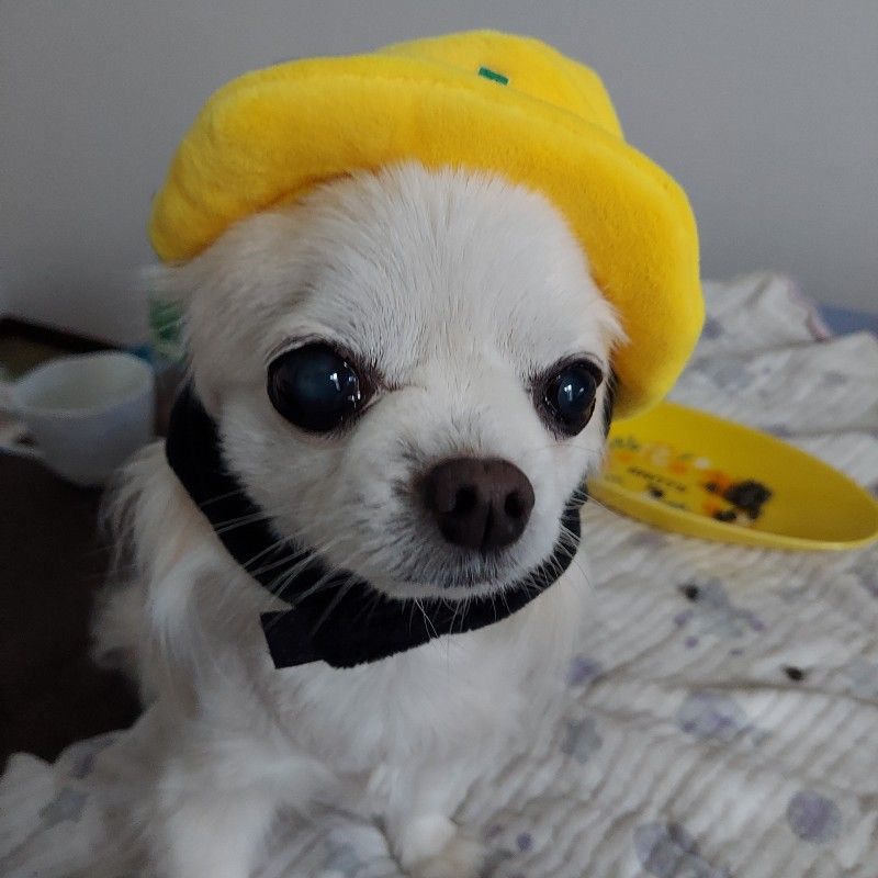 小林和代
