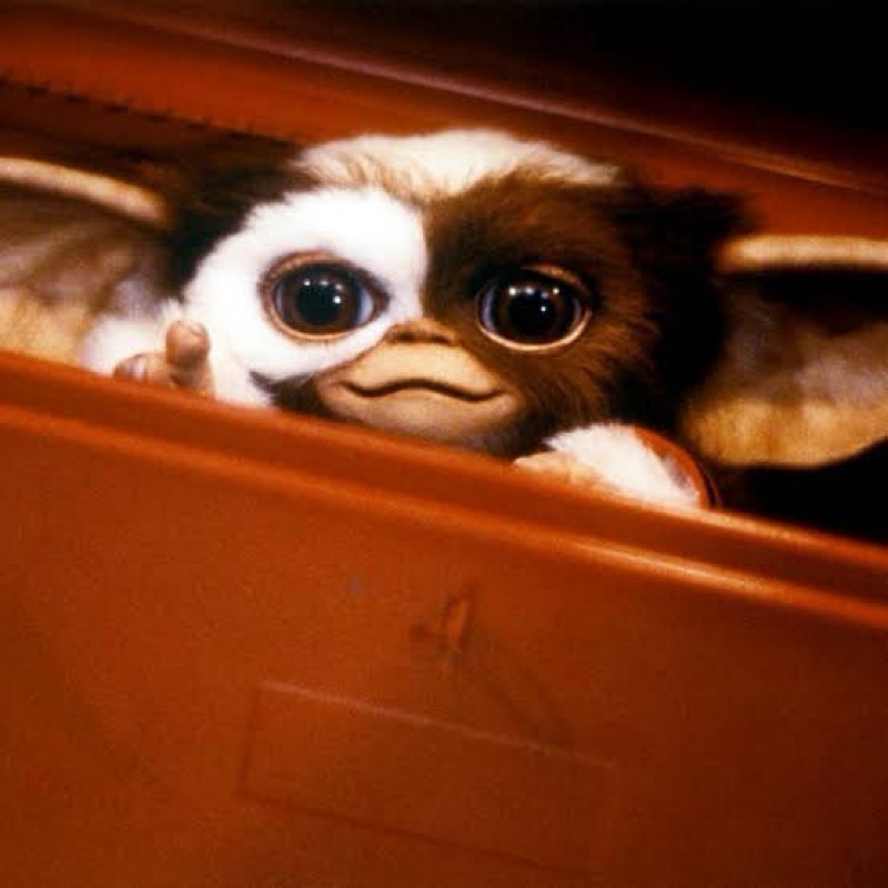 カイゼルTransportation