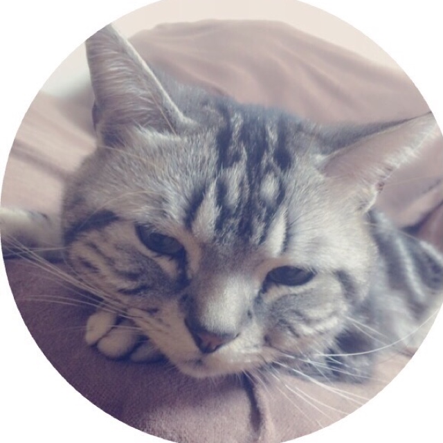ゆみこさん