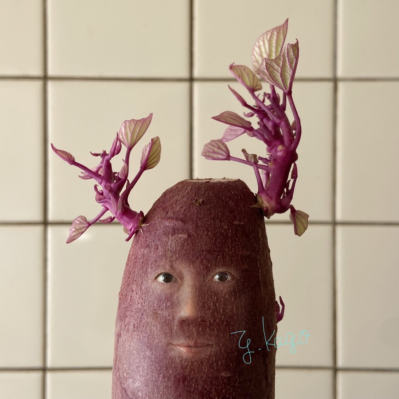 ゆみっぺ