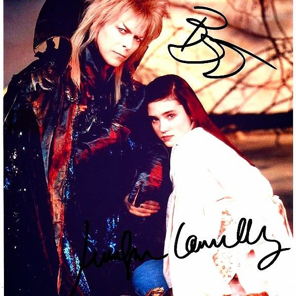 どすこいパンダ🐼