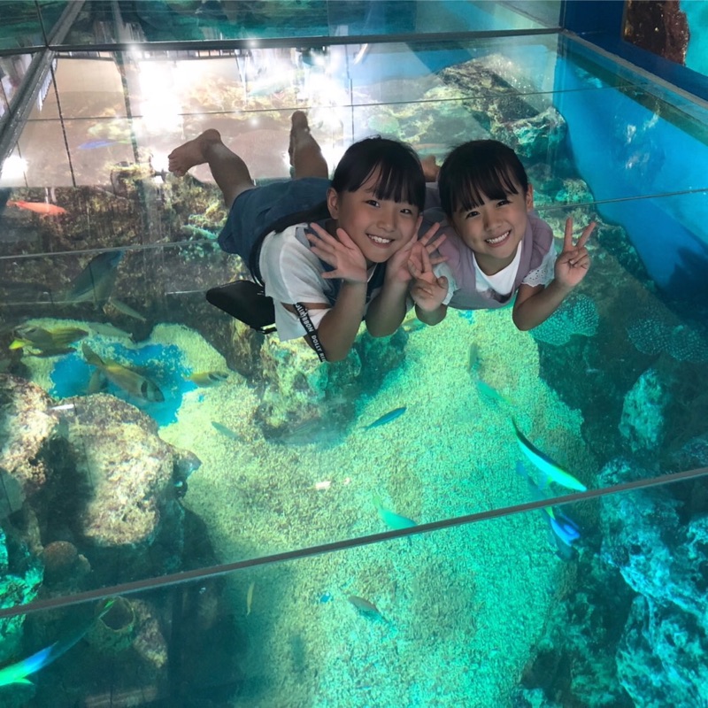 まい