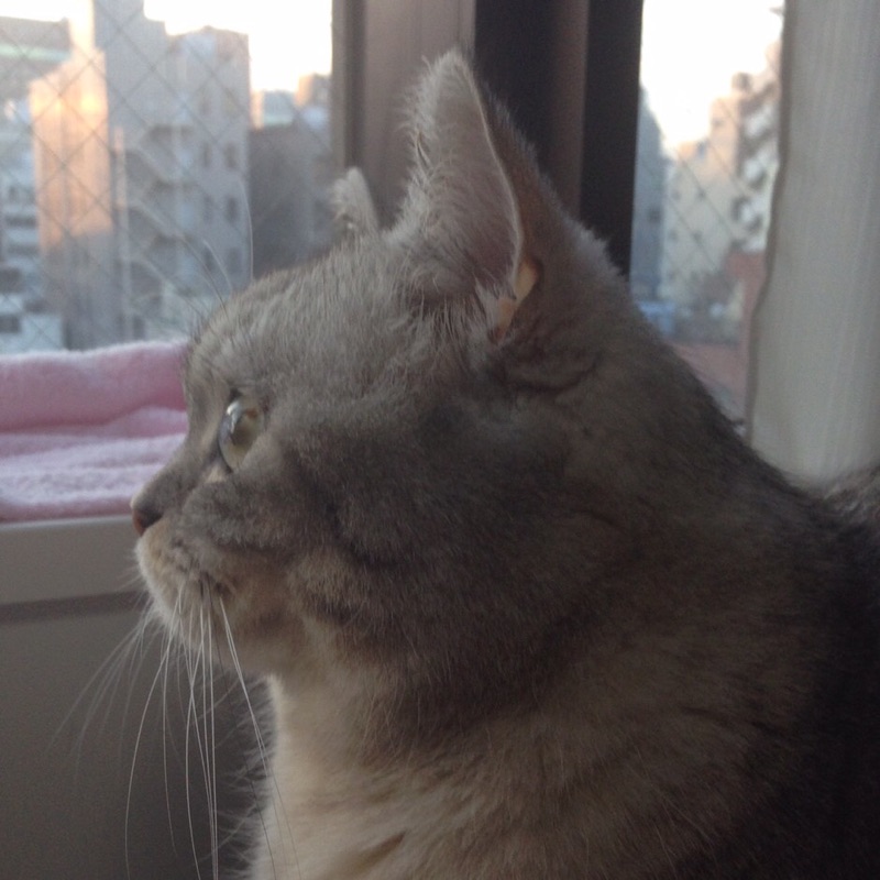 Kazue