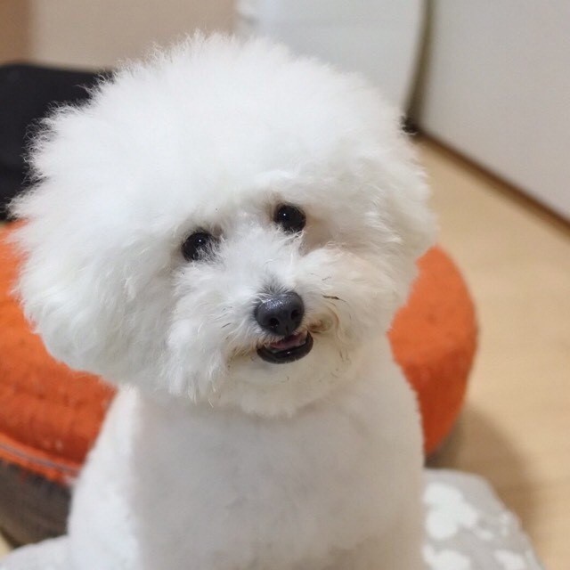 れお