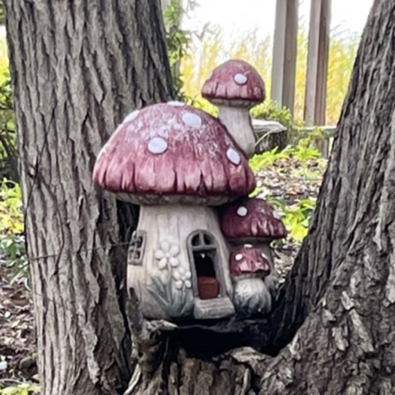 どんぐりこびと