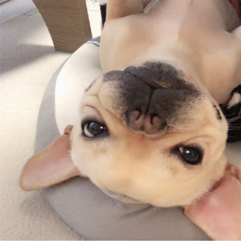 みやの