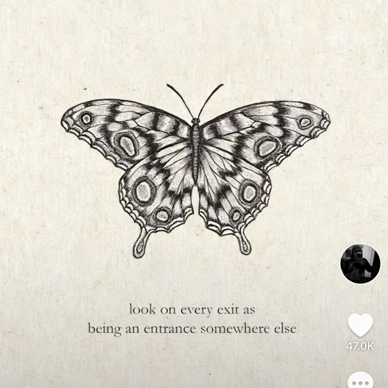 ドンランディカ