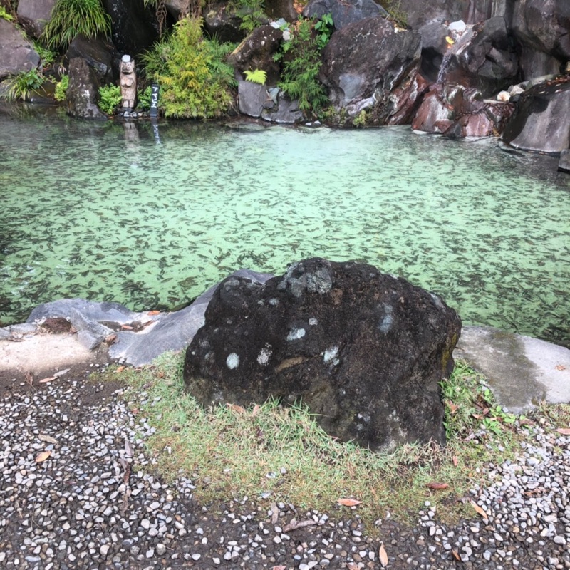 瀬戸口　昌子
