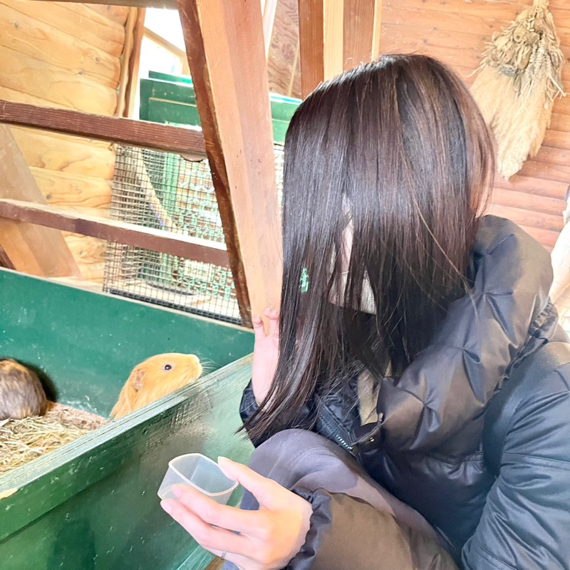 いけり