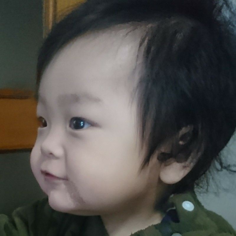  夢莉