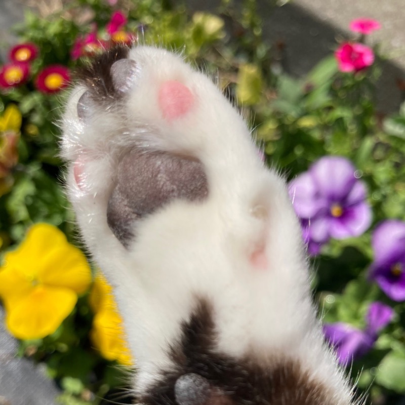 より