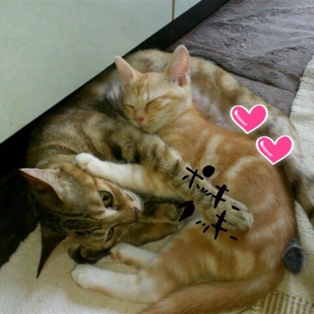 みか