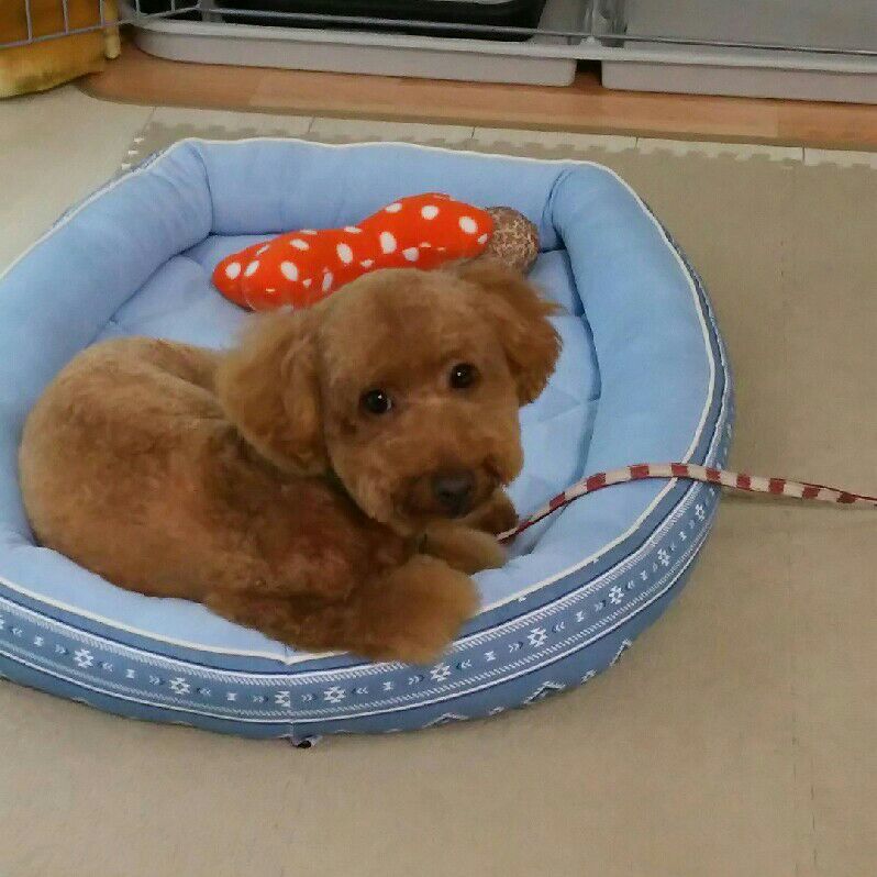 森　伸二