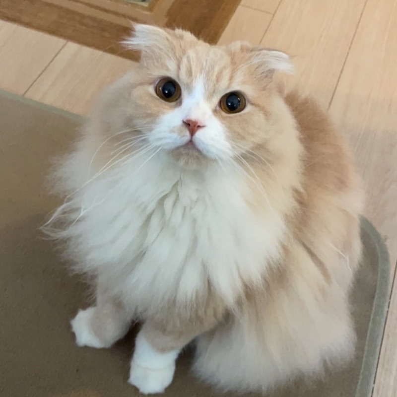 佐藤容子
