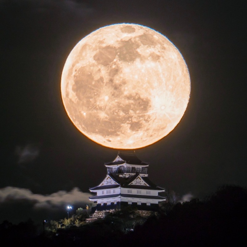 ひろP
