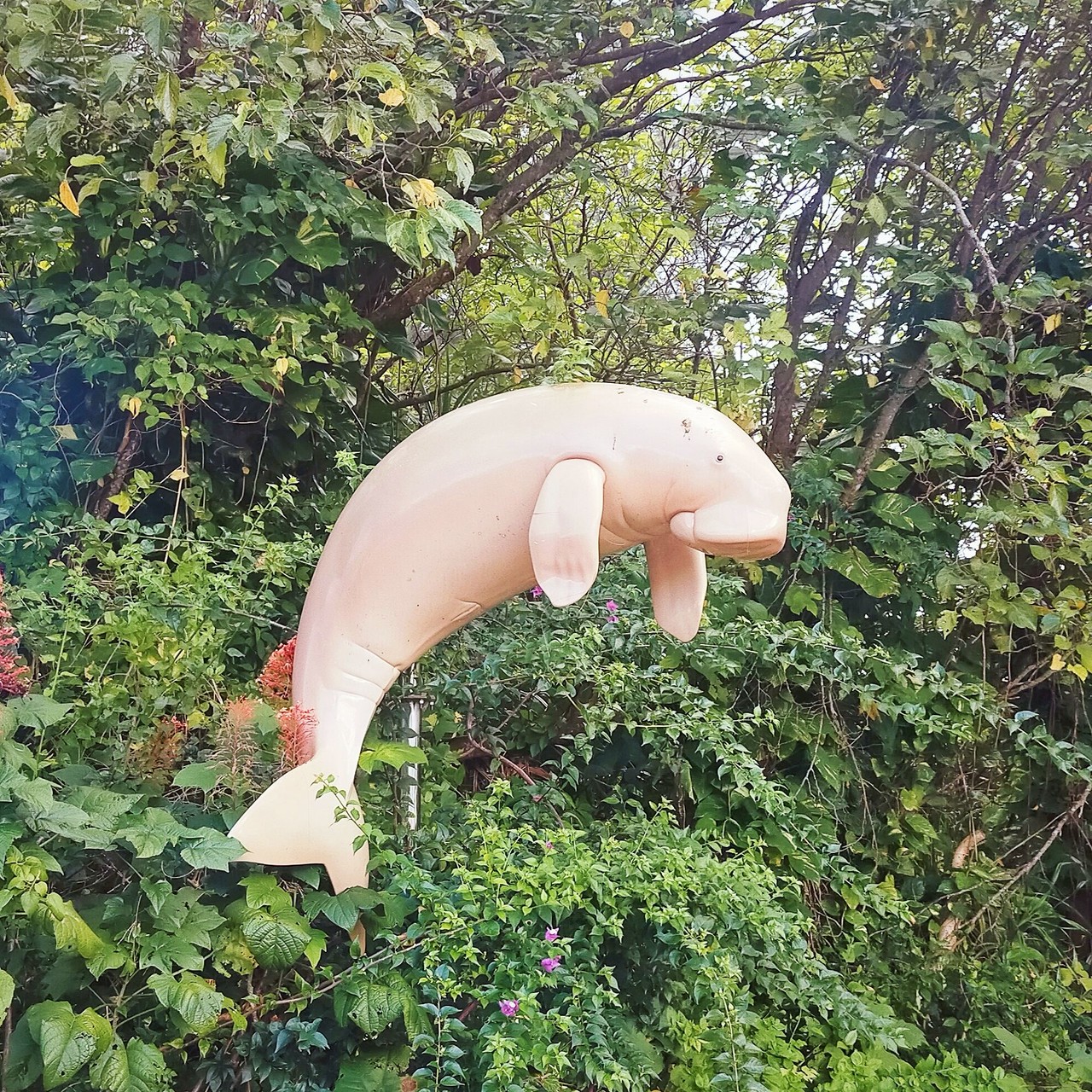 はな