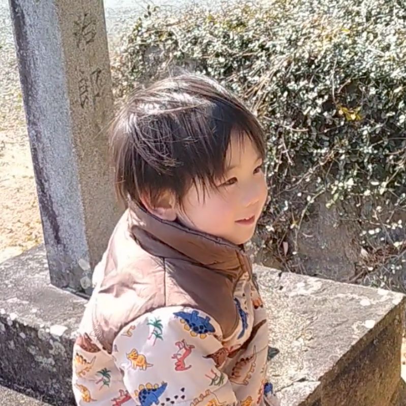 ののこ