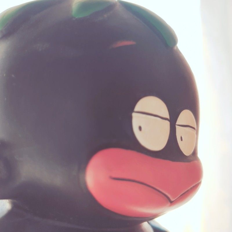荒井孝子